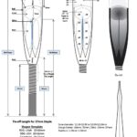 reed-meas-eng-horn-scp-inc-2021v